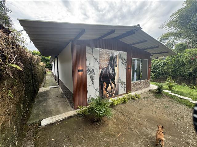 eco-hotel-gaia-1 - Turismo en el Eje Cafetero, Alquiler de Fincas en el Quindio Single-story house with metal roof and wooden siding, large horse mural on the front; dirt yard, small plants, and a brown dog in the foreground.