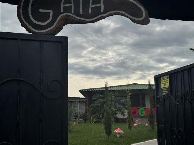 eco-hotel-gaia-10 - Turismo en el Eje Cafetero, Alquiler de Fincas en el Quindio Open black gate with a Gaia sign overhead; a grassy courtyard with small conifer trees and colorful 'GAIA' letters in the background.
