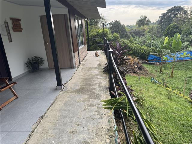 eco-hotel-gaia-5 - Turismo en el Eje Cafetero, Alquiler de Fincas en el Quindio Concrete walkway along a house with a railing on the right, a small dog resting near the end, and a lush garden beyond.
