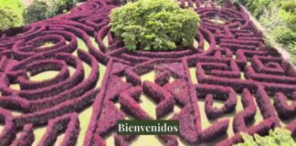 Laberinto Mil Caminos