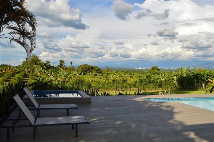finca-los-guaduales-7 - Turismo en el Eje Cafetero, Alquiler de Fincas en el Quindio